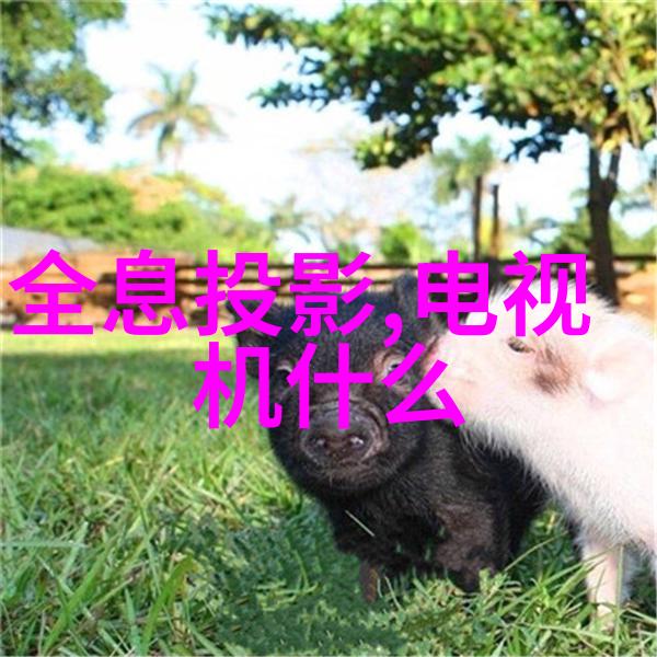 H44Y法兰式高压止回阀